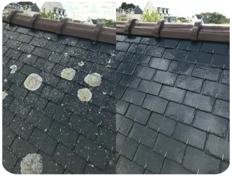 Couvreur Démoussage Toiture Châtellerault en Vienne (86)