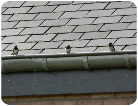 Couvreur Installation de gouttière Châtellerault en Vienne (86)